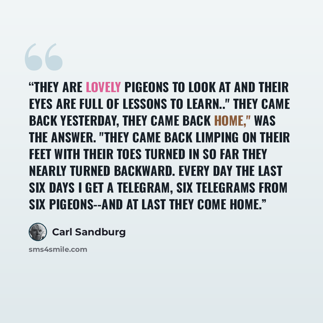 “They are lovely pigeons to look at and their eyes are full of lessons to learn.." They came back yesterday, they came back home," was the answer. "They came back limping on their feet with their toes turned in so far they nearly turned backward. Every day the last six days I get a telegram, six…” quote by Carl Sandburg