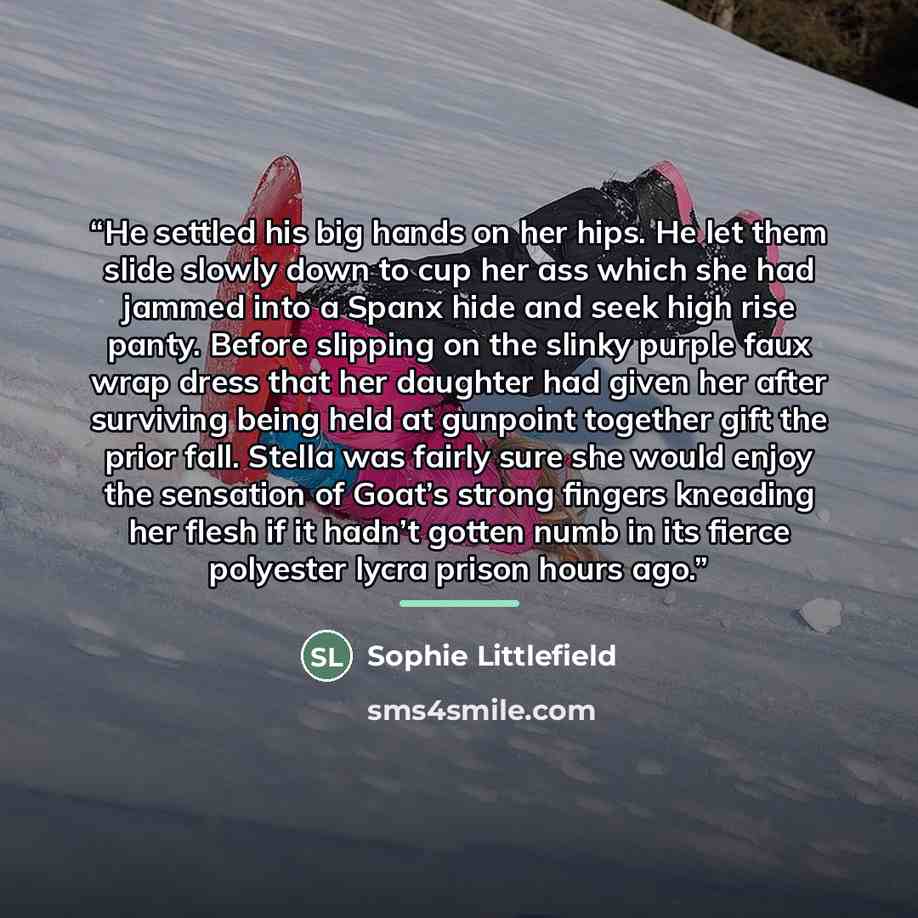 “He settled his big hands on her hips. He let them slide slowly down to cup her ass which she had jammed into a Spanx hide and seek high rise panty. Before slipping on the slinky purple faux wrap dress that her daughter had given her after surviving being held at gunpoint together gift the prior…” quote by Sophie Littlefield