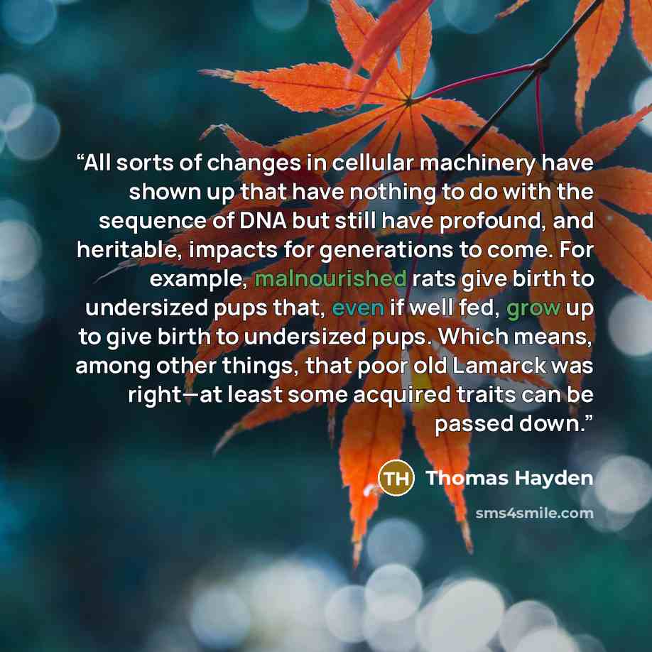 “All sorts of changes in cellular machinery have shown up that have nothing to do with the sequence of DNA but still have profound, and heritable, impacts for generations to come. For example, malnourished rats give birth to undersized pups that, even if well fed, grow up to give birth to…” quote by Thomas Hayden