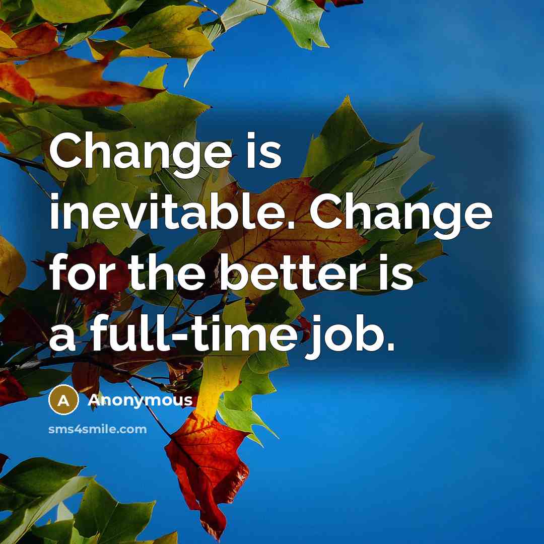 “Change is inevitable. Change for the better is a full-time job.” quote by Anonymous