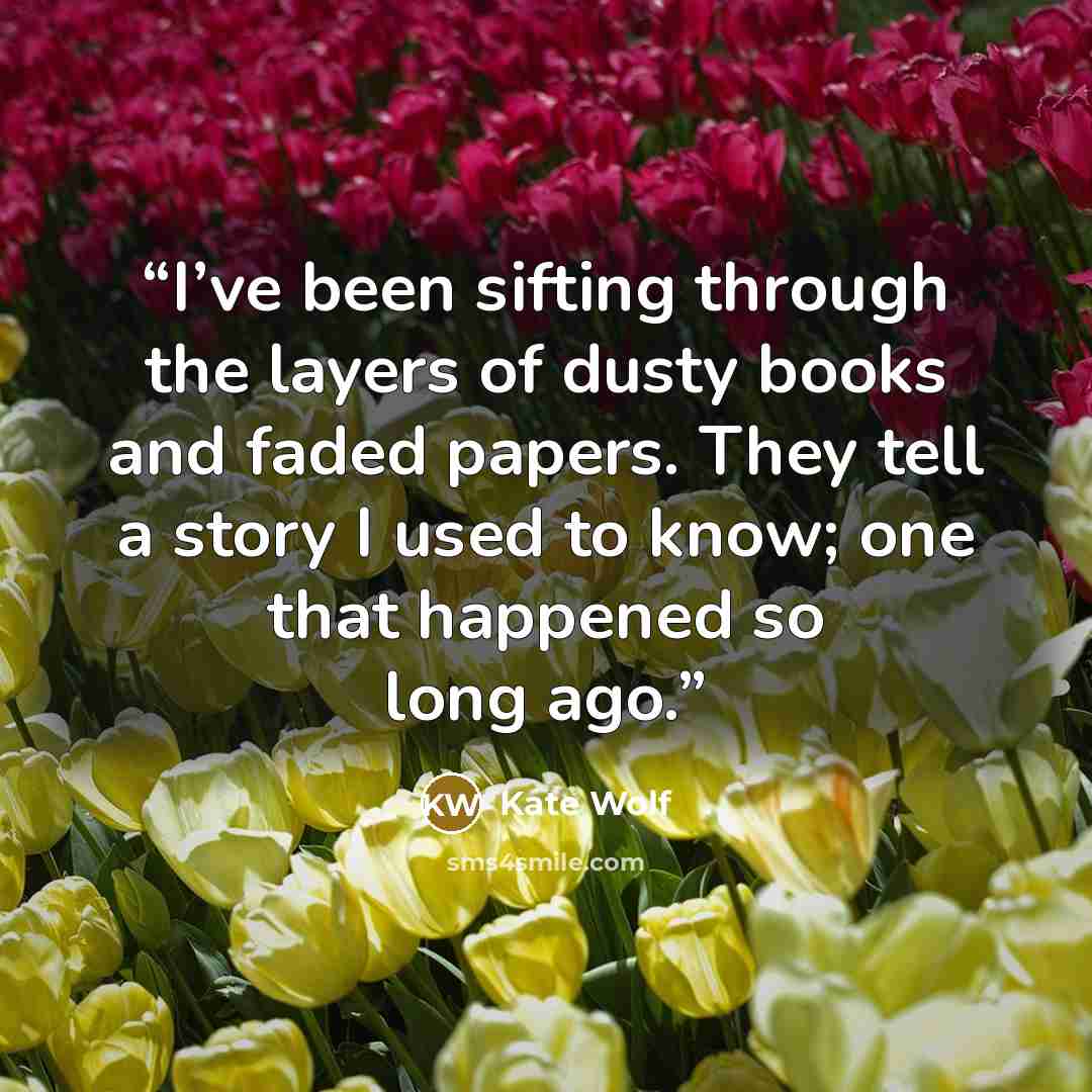 “I’ve been sifting through the layers of dusty books and faded papers. They tell a story I used to know; one that happened so long ago.” quote by Kate Wolf