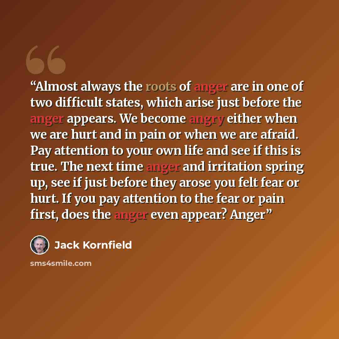 “Almost always the roots of anger are in one of two difficult states, which arise just before the anger appears. We become angry either when we are hurt and in pain or when we are afraid. Pay attention to your own life and see if this is true. The next time anger and irritation spring up, see if…” quote by Jack Kornfield
