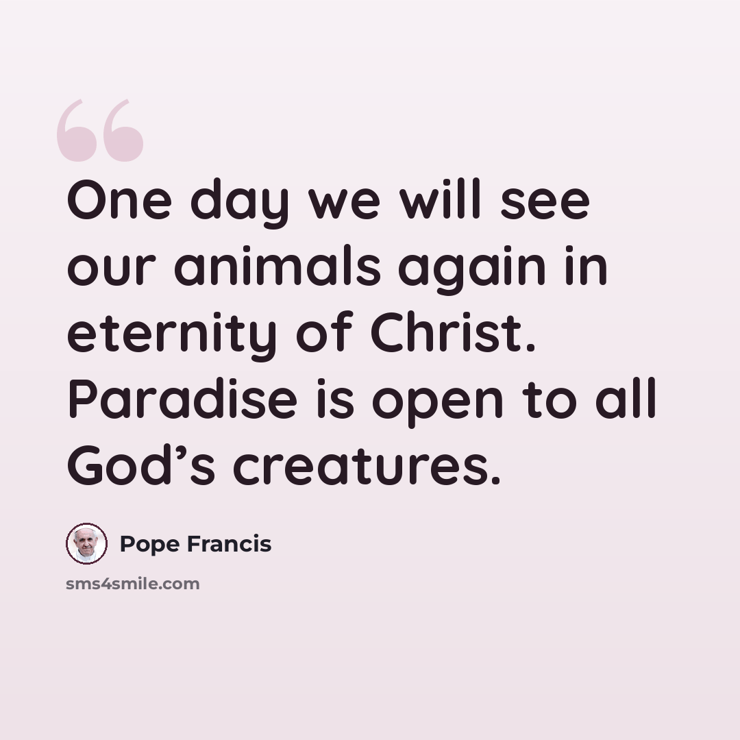 “One day we will see our animals again in eternity of Christ. Paradise is open to all God’s creatures.” quote by Pope Francis