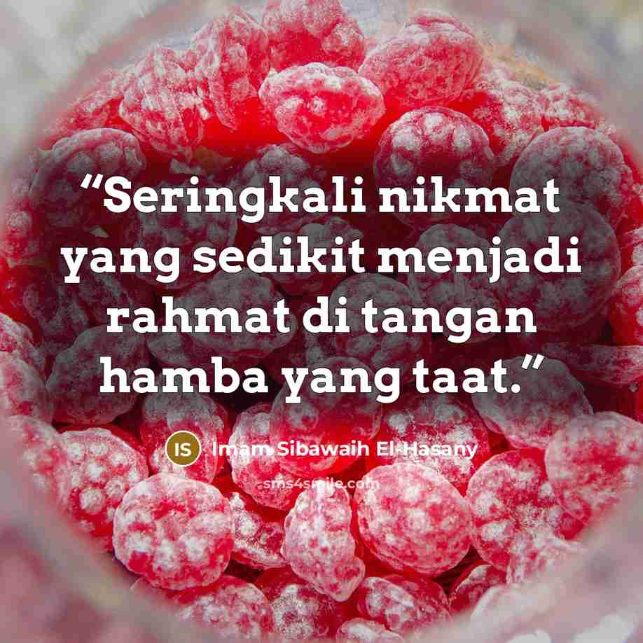 “Seringkali nikmat yang sedikit menjadi rahmat di tangan hamba yang taat.” quote by Imam Sibawaih El-Hasany