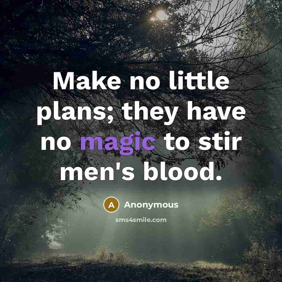 “Make no little plans; they have no magic to stir men's blood.” quote by Anonymous