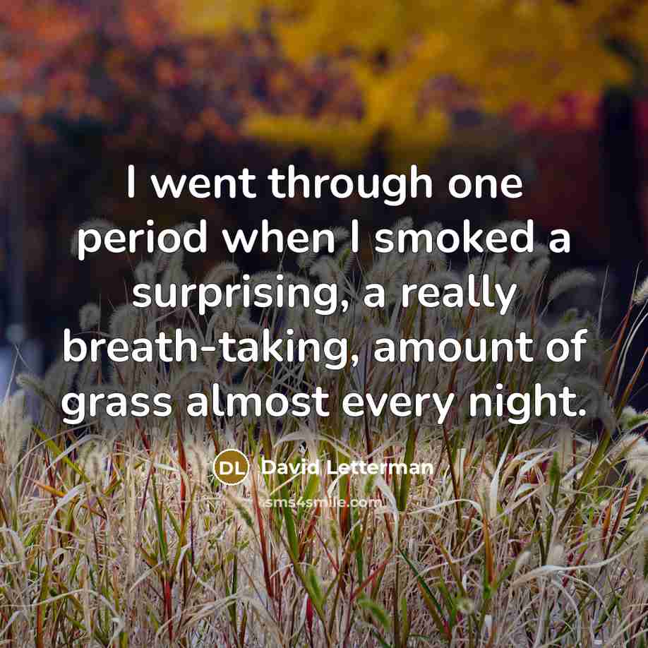 “I went through one period when I smoked a surprising, a really breath-taking, amount of grass almost every night.” quote by David Letterman