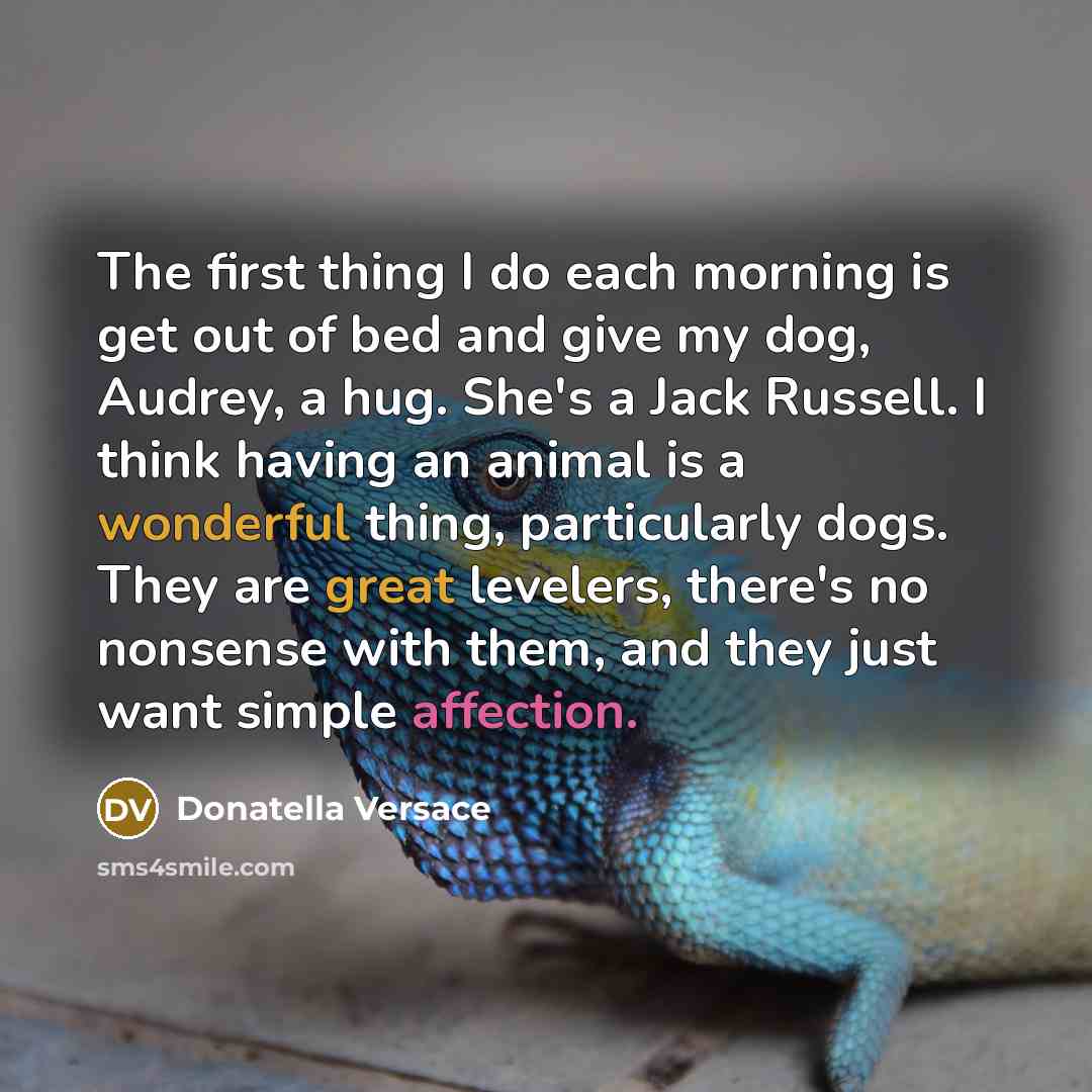 “The first thing I do each morning is get out of bed and give my dog, Audrey, a hug. She's a Jack Russell. I think having an animal is a wonderful thing, particularly dogs. They are great levelers, there's no nonsense with them, and they just want simple affection.” quote by Donatella Versace