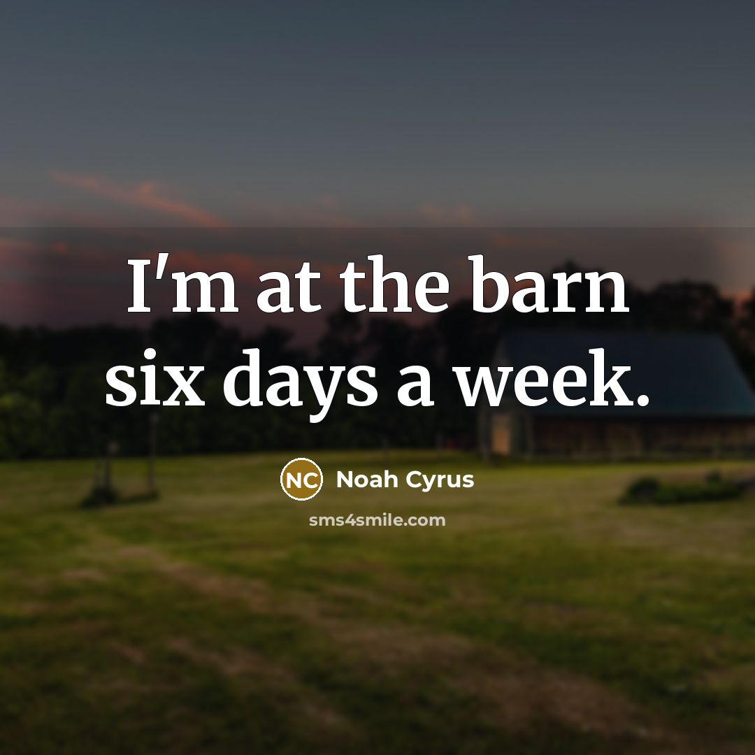 “I'm at the barn six days a week.” quote by Noah Cyrus