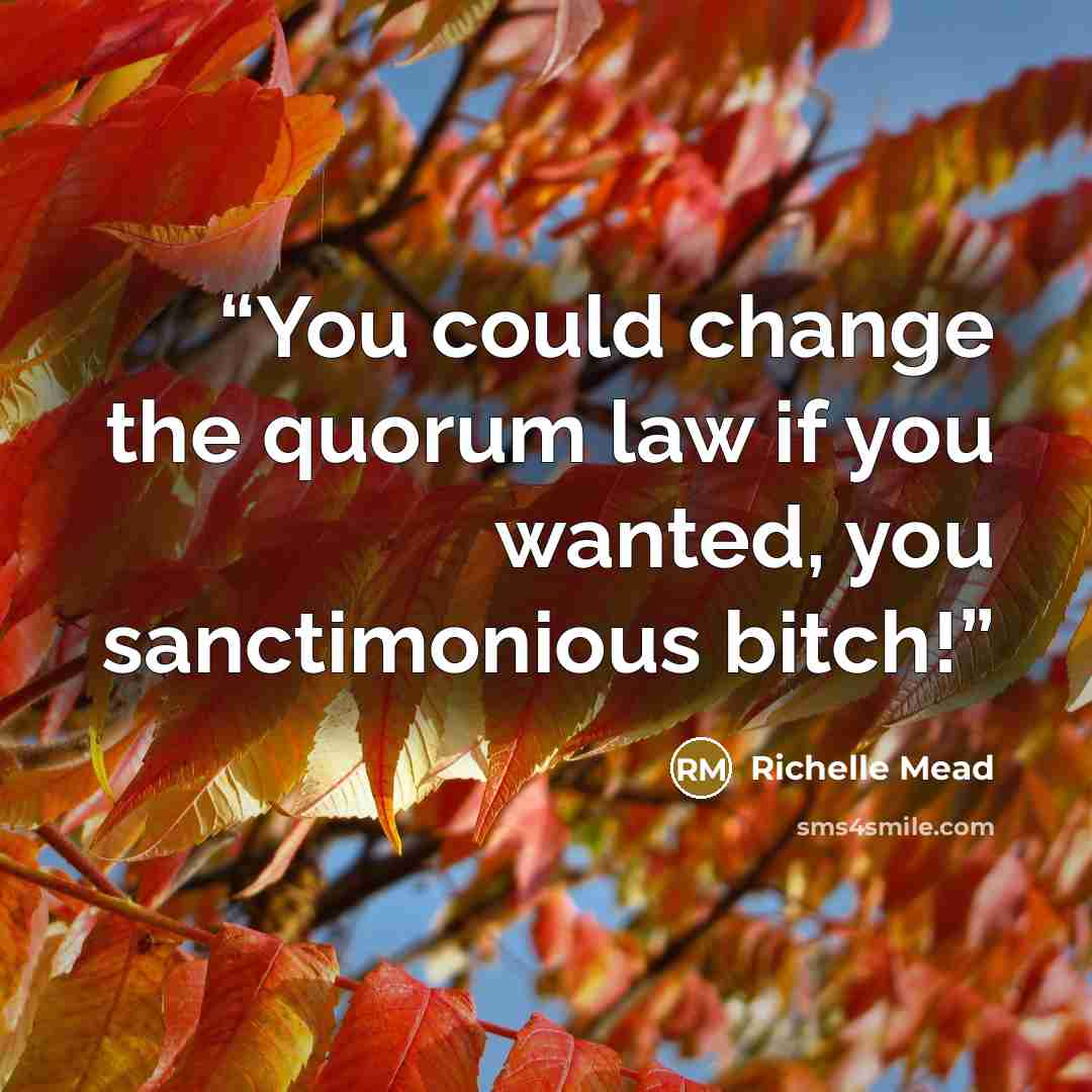 “You could change the quorum law if you wanted, you sanctimonious bitch!” quote by Richelle Mead