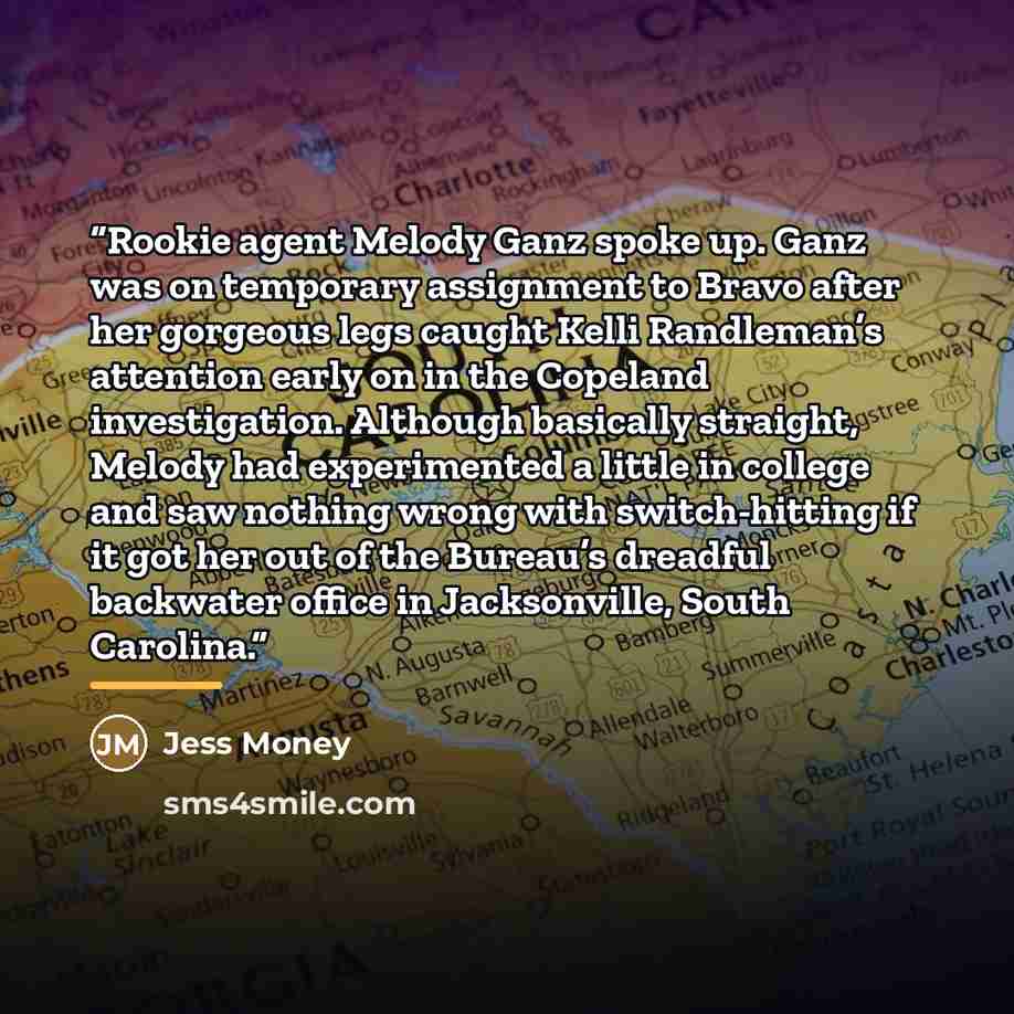 “Rookie agent Melody Ganz spoke up. Ganz was on temporary assignment to Bravo after her gorgeous legs caught Kelli Randleman’s attention early on in the Copeland investigation. Although basically straight, Melody had experimented a little in college and saw nothing wrong with switch-hitting if it…” quote by Jess Money