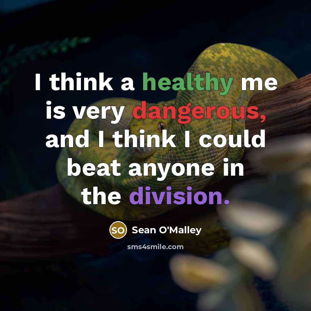 “I think a healthy me is very dangerous, and I think I could beat anyone in the division.” quote by Sean O'Malley