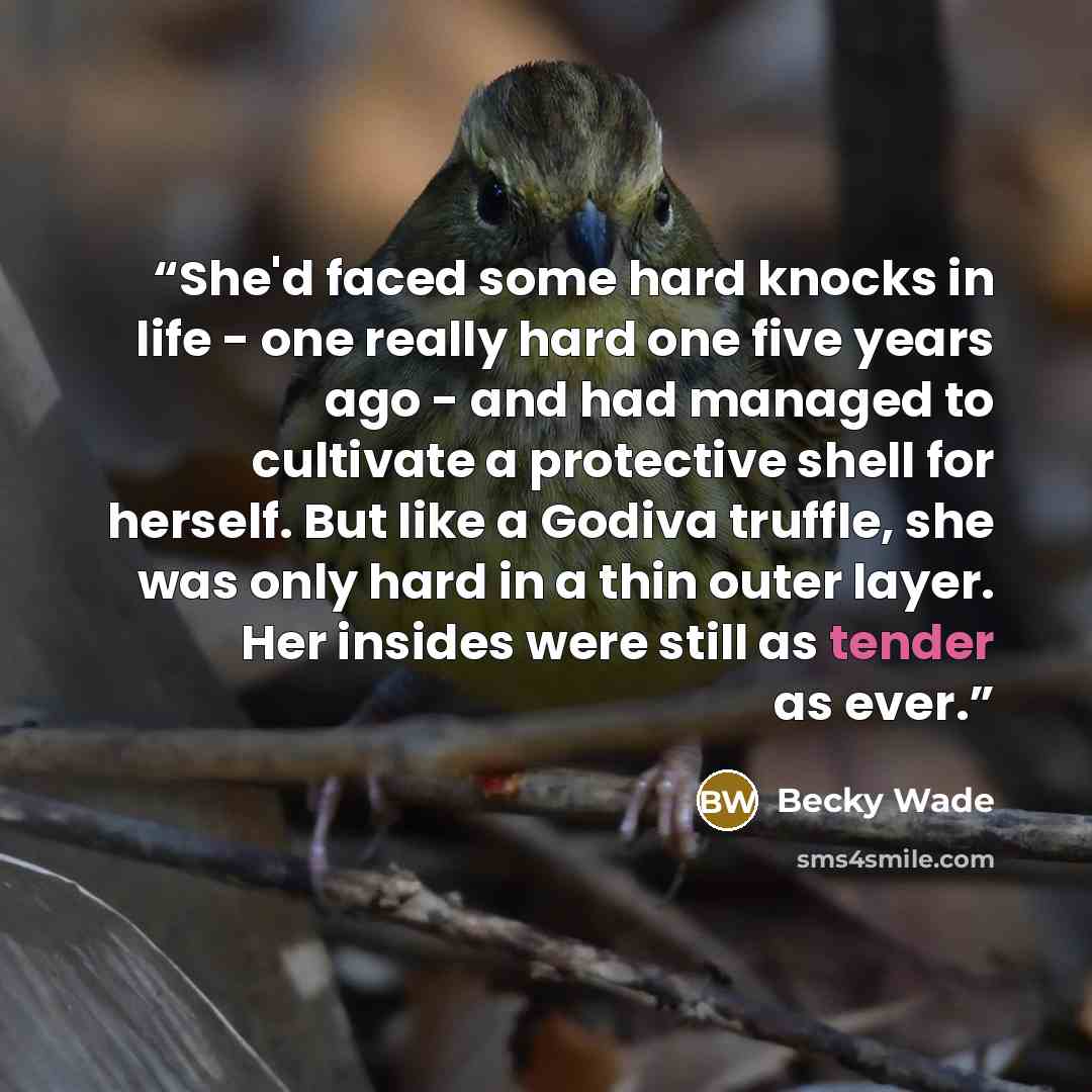 “She'd faced some hard knocks in life - one really hard one five years ago - and had managed to cultivate a protective shell for herself. But like a Godiva truffle, she was only hard in a thin outer layer. Her insides were still as tender as ever.” quote by Becky Wade