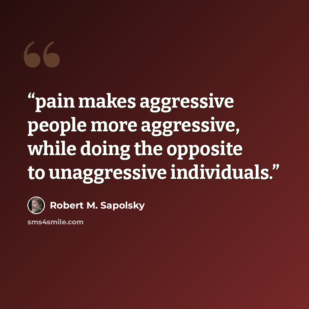 “pain makes aggressive people more aggressive, while doing the opposite to unaggressive individuals.” quote by Robert M. Sapolsky