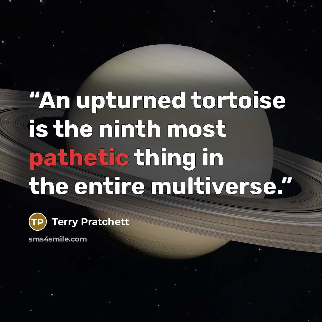 “An upturned tortoise is the ninth most pathetic thing in the entire multiverse.” quote by Terry Pratchett