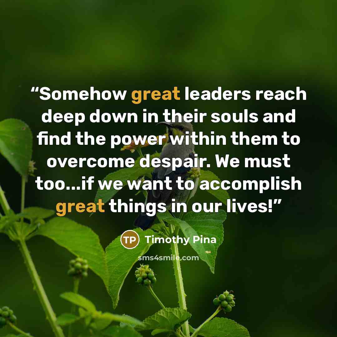“Somehow great leaders reach deep down in their souls and find the power within them to overcome despair. We must too...if we want to accomplish great things in our lives!” quote by Timothy Pina