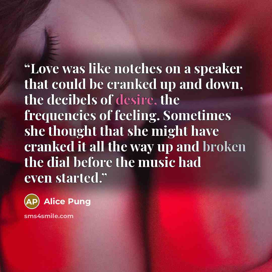 “Love was like notches on a speaker that could be cranked up and down, the decibels of desire, the frequencies of feeling. Sometimes she thought that she might have cranked it all the way up and broken the dial before the music had even started.” quote by Alice Pung