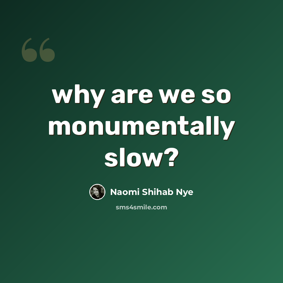 “why are we so monumentally slow?” quote by Naomi Shihab Nye