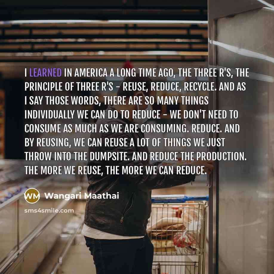 “I learned in America a long time ago, the three R's, the principle of three R's - reuse, reduce, recycle. And as I say those words, there are so many things individually we can do to reduce - we don't need to consume as much as we are consuming. Reduce. And by reusing, we can reuse a lot of things…” quote by Wangari Maathai
