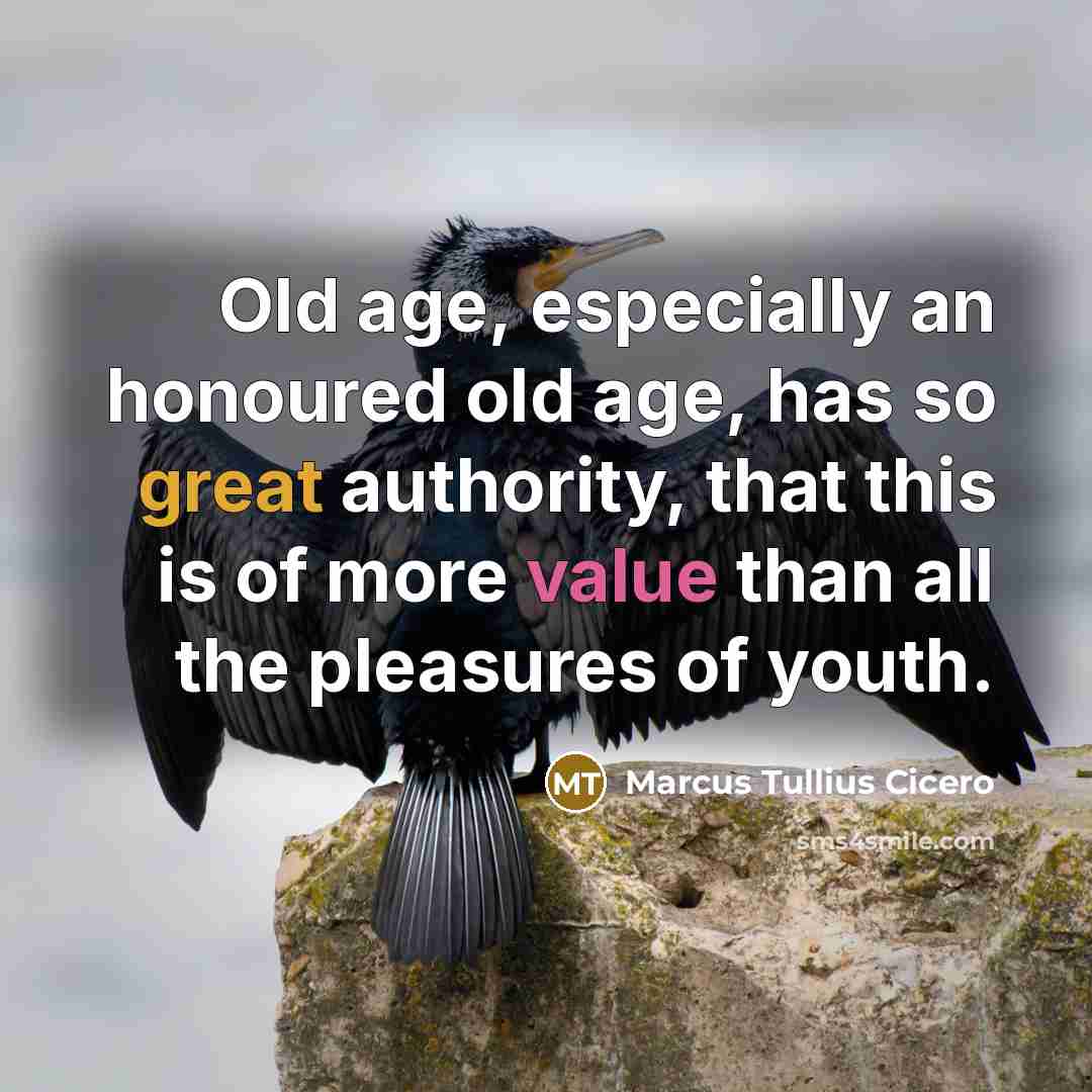 “Old age, especially an honoured old age, has so great authority, that this is of more value than all the pleasures of youth.” quote by Marcus Tullius Cicero