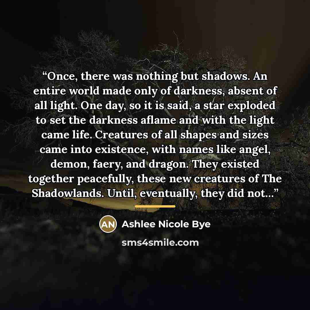 “Once, there was nothing but shadows. An entire world made only of darkness, absent of all light. One day, so it is said, a star exploded to set the darkness aflame and with the light came life. Creatures of all shapes and sizes came into existence, with names like angel, demon, faery, and dragon…” quote by Ashlee Nicole Bye