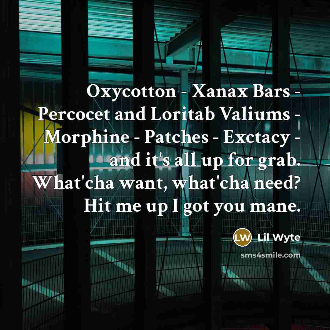 “Oxycotton - Xanax Bars - Percocet and Loritab Valiums - Morphine - Patches - Exctacy - and it's all up for grab. What'cha want, what'cha need? Hit me up I got you mane.” quote by Lil Wyte