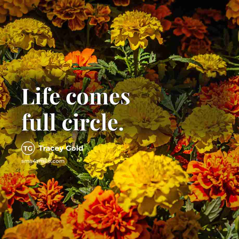 “Life comes full circle.” quote by Tracey Gold