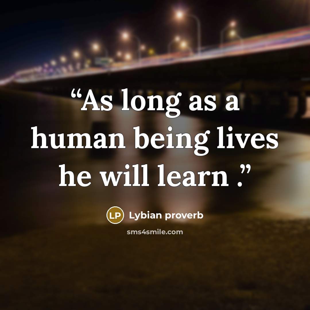 “As long as a human being lives he will learn .” quote by Lybian proverb