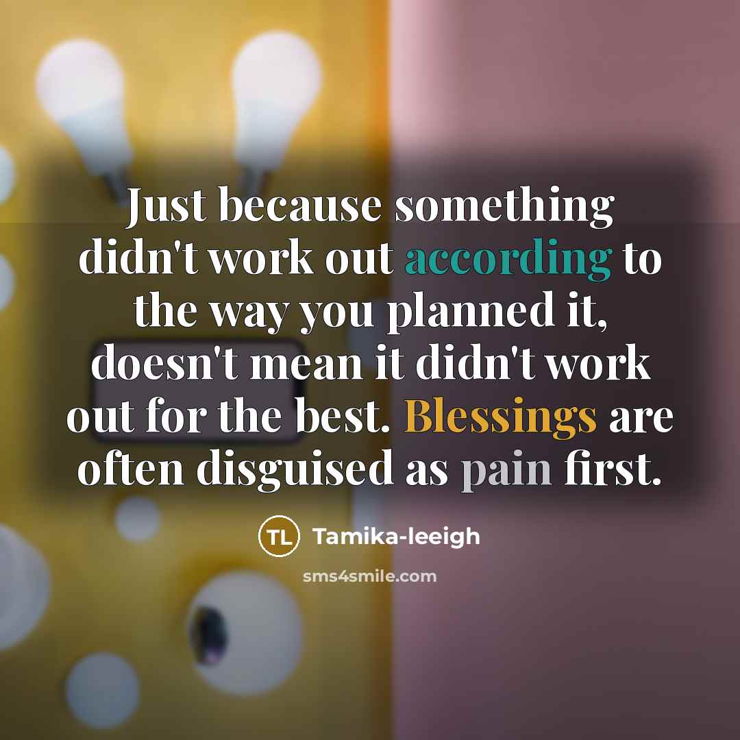 “Just because something didn't work out according to the way you planned it, doesn't mean it didn't work out for the best. Blessings are often disguised as pain first.” quote by Tamika-leeigh