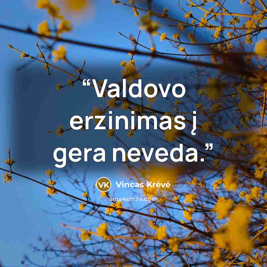“Valdovo erzinimas į gera neveda.” quote by Vincas Krėvė