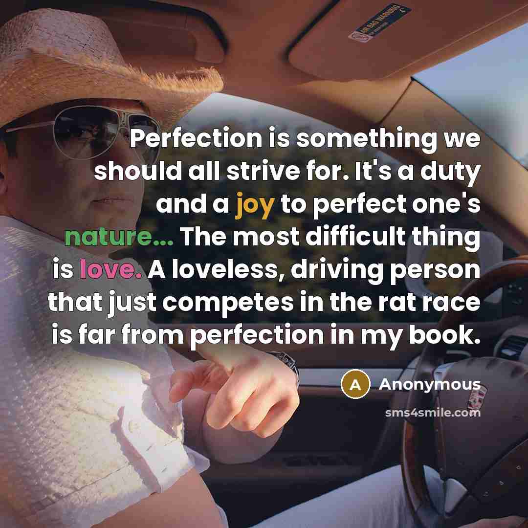 “Perfection is something we should all strive for. It's a duty and a joy to perfect one's nature... The most difficult thing is love. A loveless, driving person that just competes in the rat race is far from perfection in my book.” quote by Anonymous