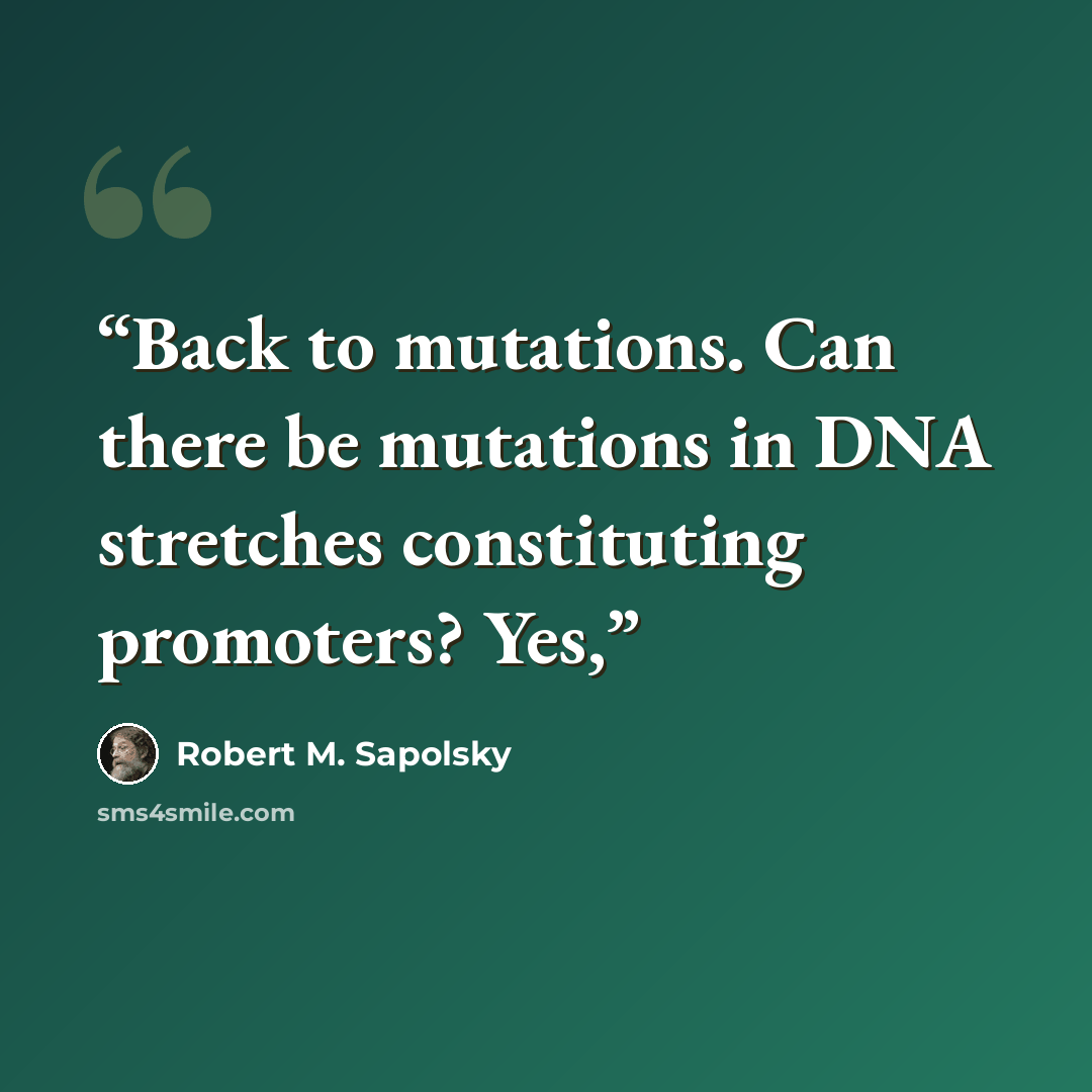 “Back to mutations. Can there be mutations in DNA stretches constituting promoters? Yes,” quote by Robert M. Sapolsky