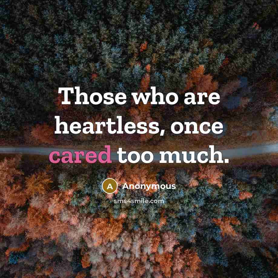 “Those who are heartless, once cared too much.” quote by Anonymous