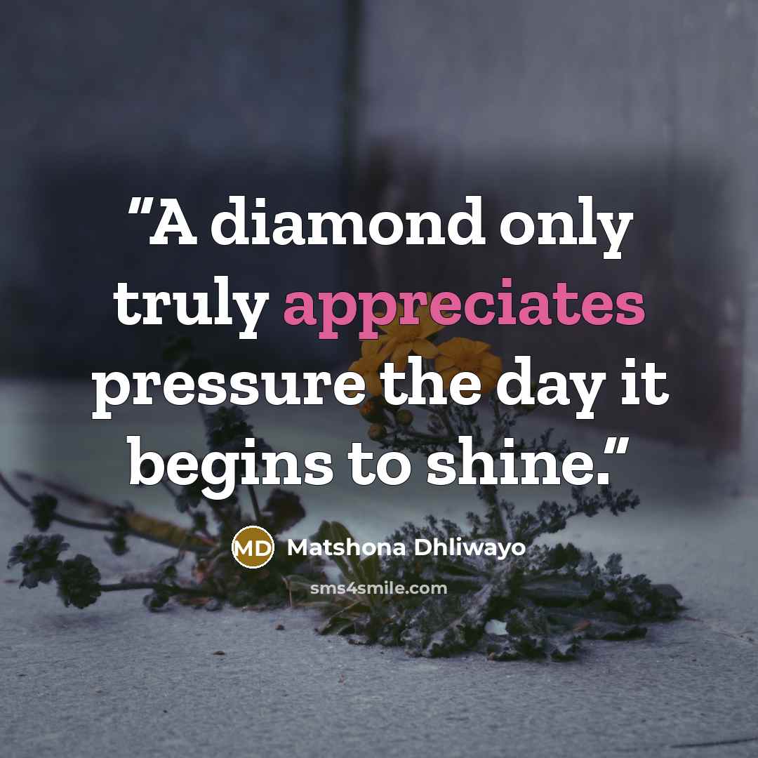 “A diamond only truly appreciates pressure the day it begins to shine.” quote by Matshona Dhliwayo