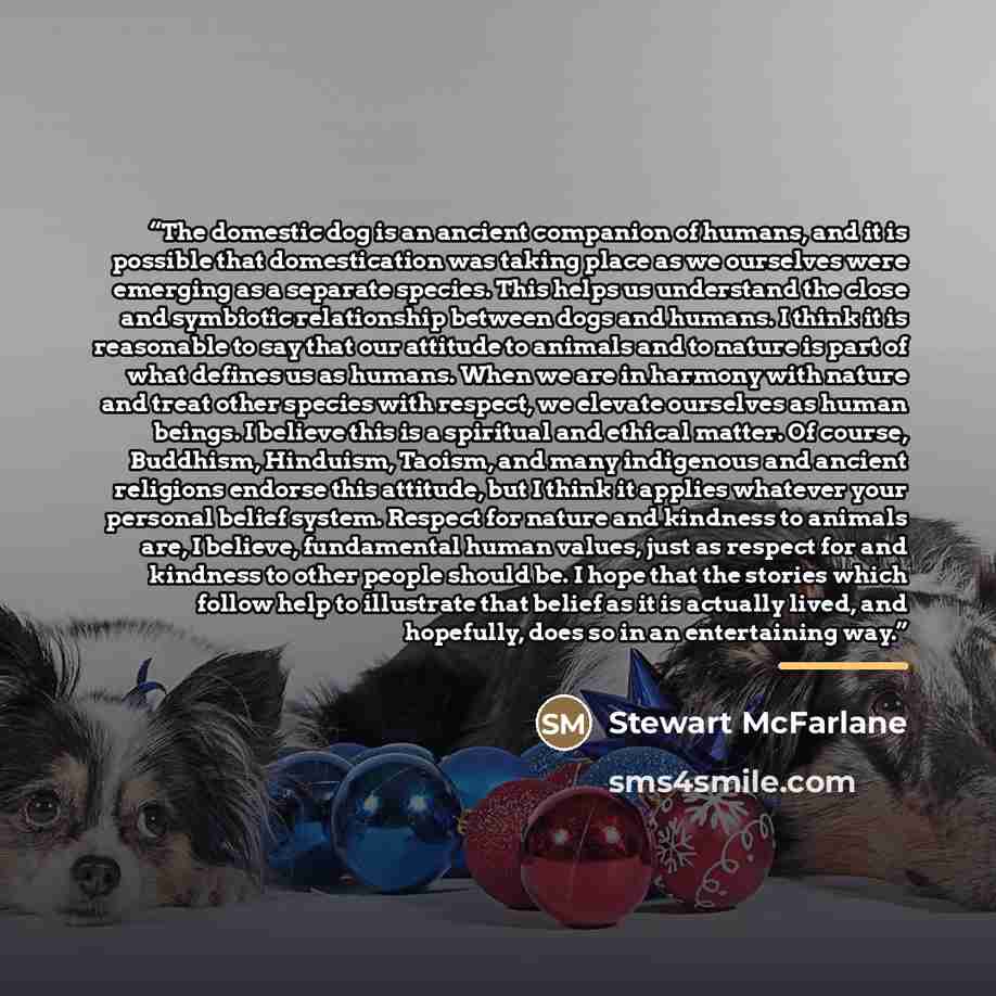 “The domestic dog is an ancient companion of humans, and it is possible that domestication was taking place as we ourselves were emerging as a separate species. This helps us understand the close and symbiotic relationship between dogs and humans. I think it is reasonable to say that our attitude…” quote by Stewart McFarlane