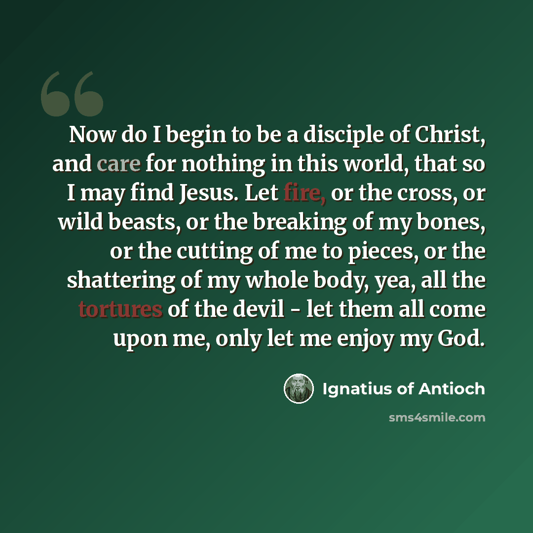 “Now do I begin to be a disciple of Christ, and care for nothing in this world, that so I may find Jesus. Let fire, or the cross, or wild beasts, or the breaking of my bones, or the cutting of me to pieces, or the shattering of my whole body, yea, all the tortures of the devil - let them all come…” quote by Ignatius of Antioch