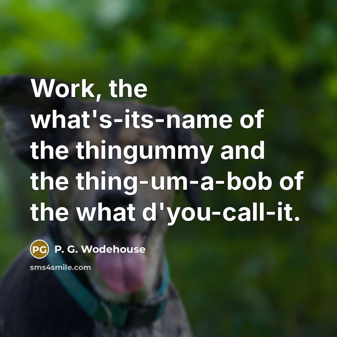 “Work, the what's-its-name of the thingummy and the thing-um-a-bob of the what d'you-call-it.” quote by P. G. Wodehouse