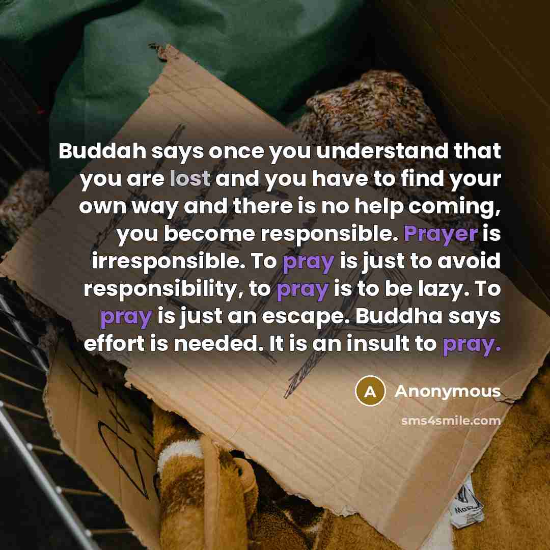 “Buddah says once you understand that you are lost and you have to find your own way and there is no help coming, you become responsible. Prayer is irresponsible. To pray is just to avoid responsibility, to pray is to be lazy. To pray is just an escape. Buddha says effort is needed. It is an insult…” quote by Anonymous