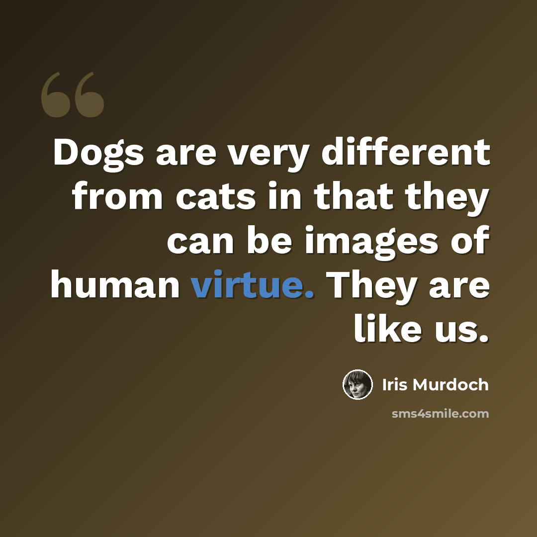 “Dogs are very different from cats in that they can be images of human virtue. They are like us.” quote by Iris Murdoch