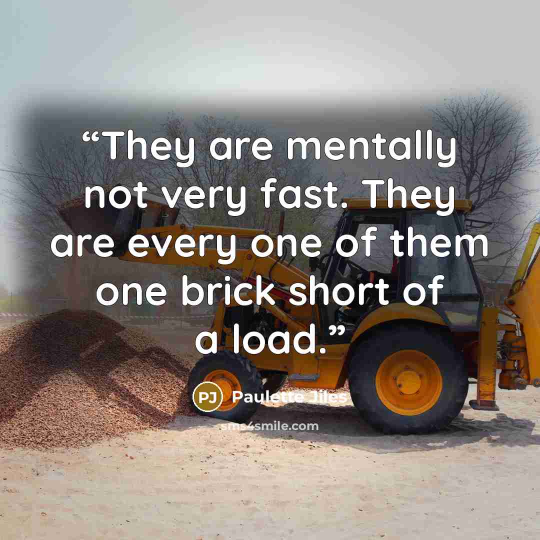 “They are mentally not very fast. They are every one of them one brick short of a load.” quote by Paulette Jiles