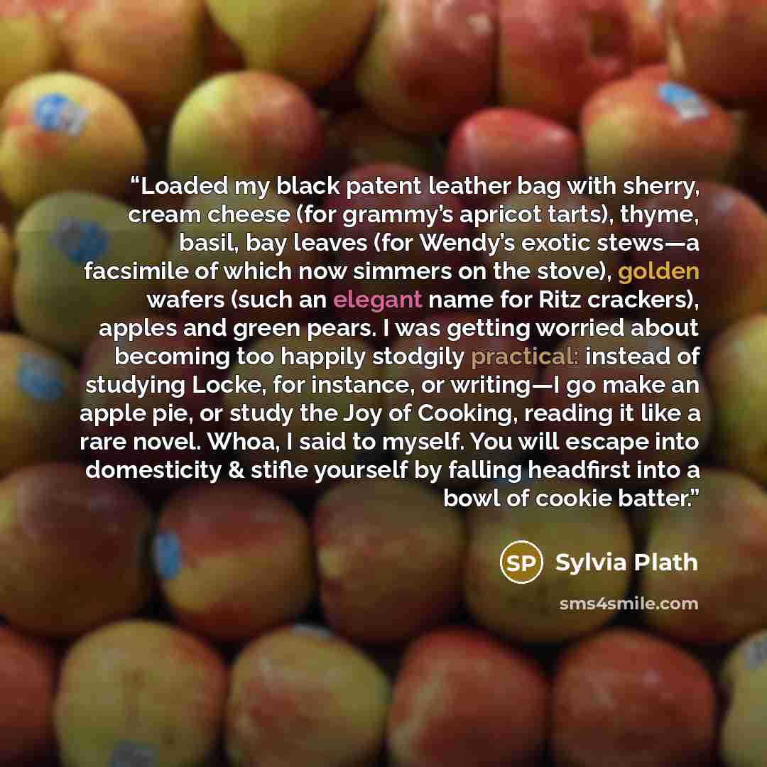 “Loaded my black patent leather bag with sherry, cream cheese (for grammy’s apricot tarts), thyme, basil, bay leaves (for Wendy’s exotic stews—a facsimile of which now simmers on the stove), golden wafers (such an elegant name for Ritz crackers), apples and green pears. I was getting worried about…” quote by Sylvia Plath