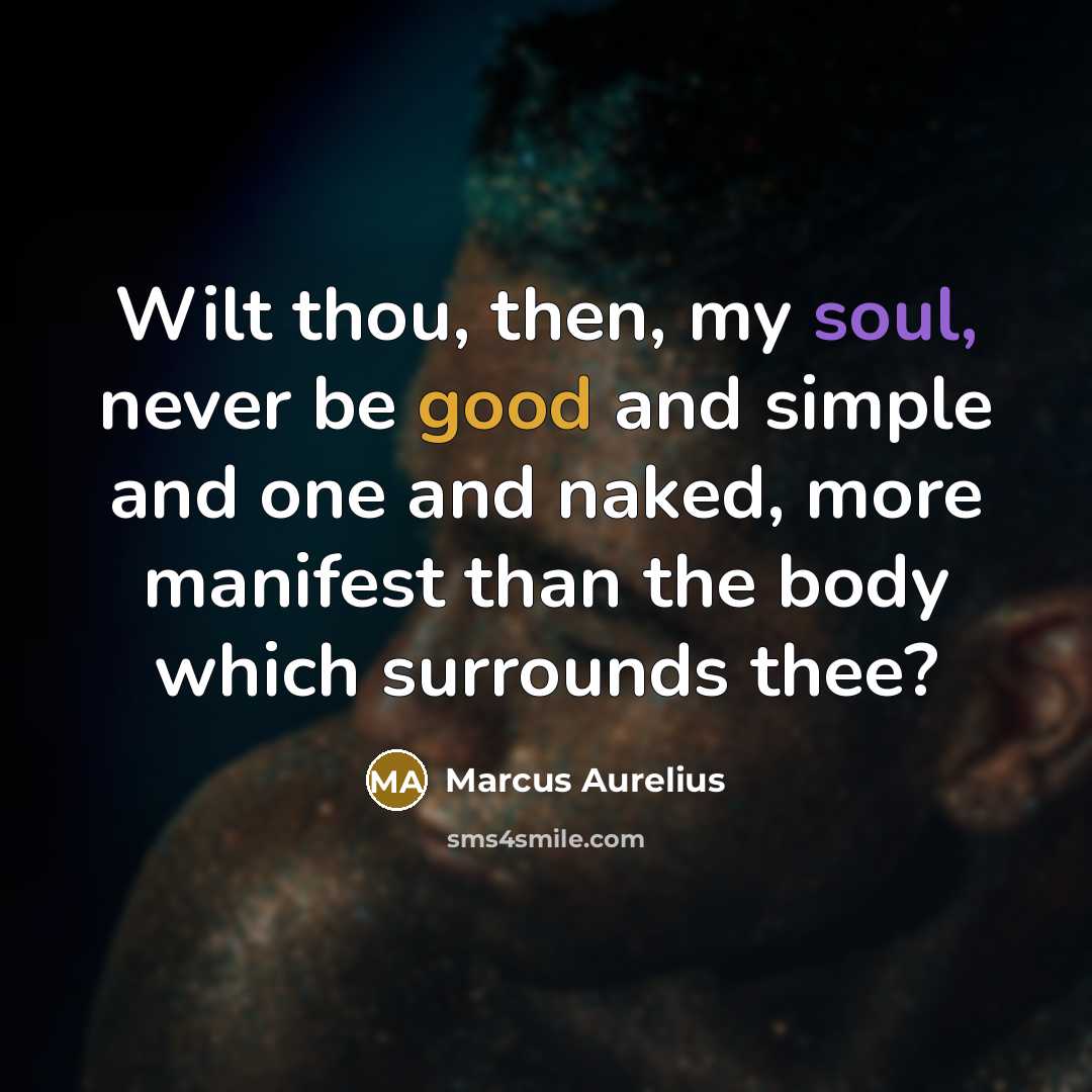 “Wilt thou, then, my soul, never be good and simple and one and naked, more manifest than the body which surrounds thee?” quote by Marcus Aurelius
