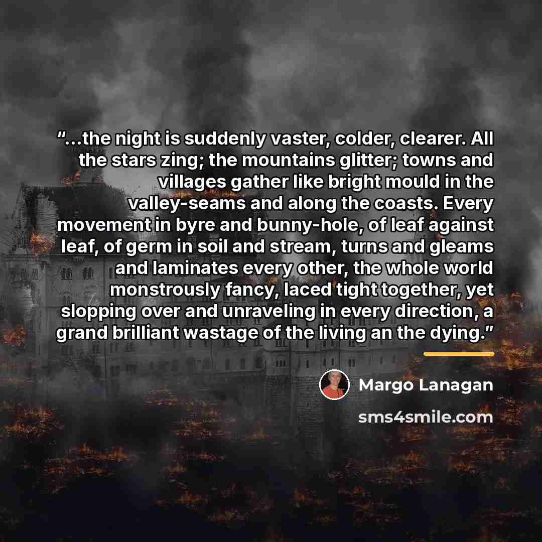 “...the night is suddenly vaster, colder, clearer. All the stars zing; the mountains glitter; towns and villages gather like bright mould in the valley-seams and along the coasts. Every movement in byre and bunny-hole, of leaf against leaf, of germ in soil and stream, turns and gleams and laminates…” quote by Margo Lanagan