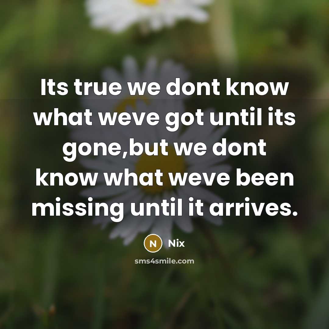 “Its true we dont know what weve got until its gone,but we dont know what weve been missing until it arrives.” quote by Nix