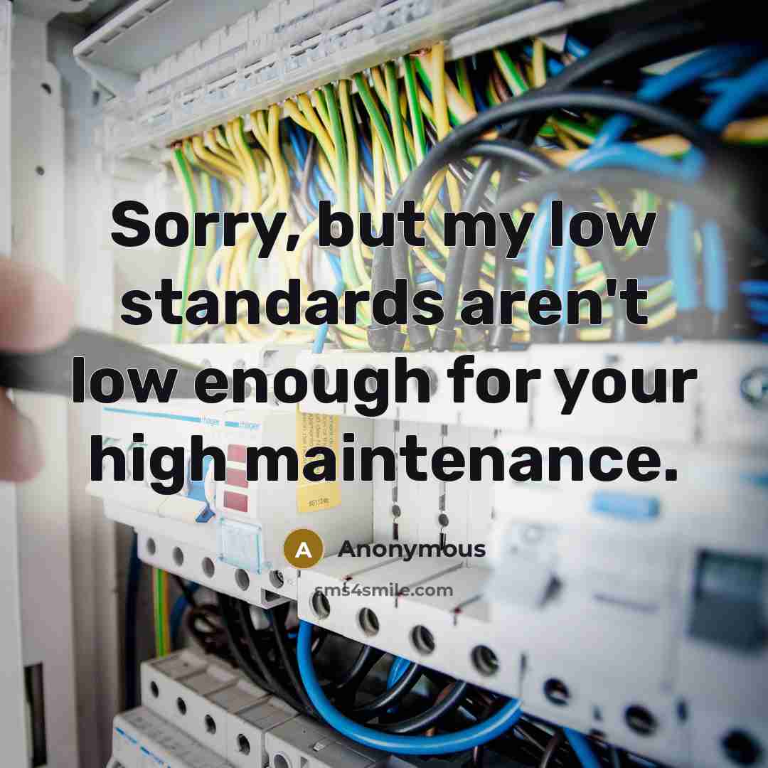 “Sorry, but my low standards aren't low enough for your high maintenance.” quote by Anonymous