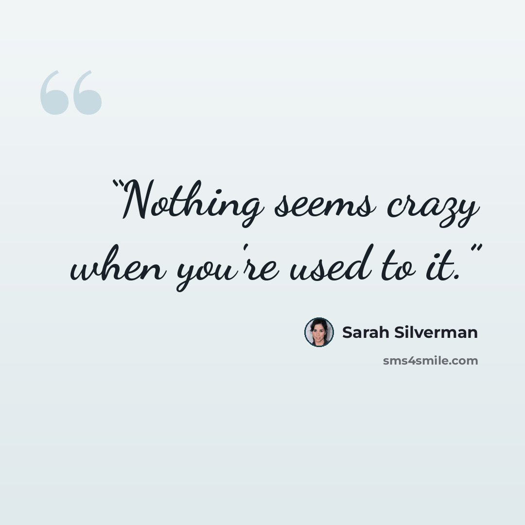 “Nothing seems crazy when you're used to it.” quote by Sarah Silverman