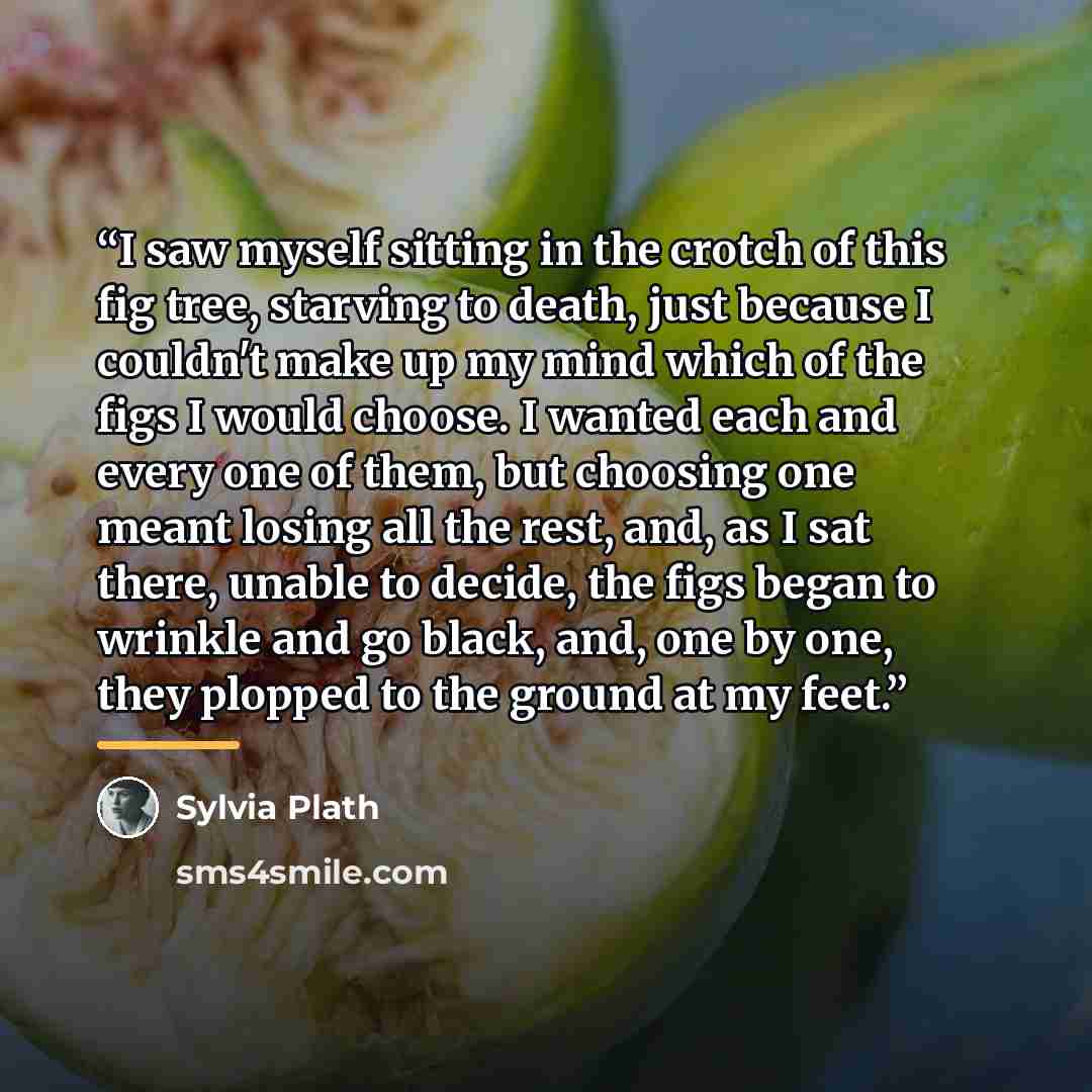“I saw myself sitting in the crotch of this fig tree, starving to death, just because I couldn't make up my mind which of the figs I would choose. I wanted each and every one of them, but choosing one meant losing all the rest, and, as I sat there, unable to decide, the figs began to wrinkle and go…” quote by Sylvia Plath