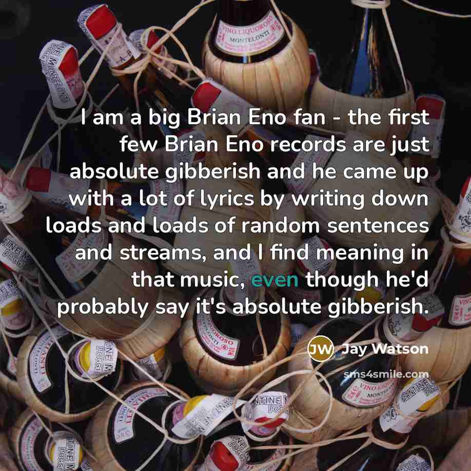 “I am a big Brian Eno fan - the first few Brian Eno records are just absolute gibberish and he came up with a lot of lyrics by writing down loads and loads of random sentences and streams, and I find meaning in that music, even though he'd probably say it's absolute gibberish.” quote by Jay Watson