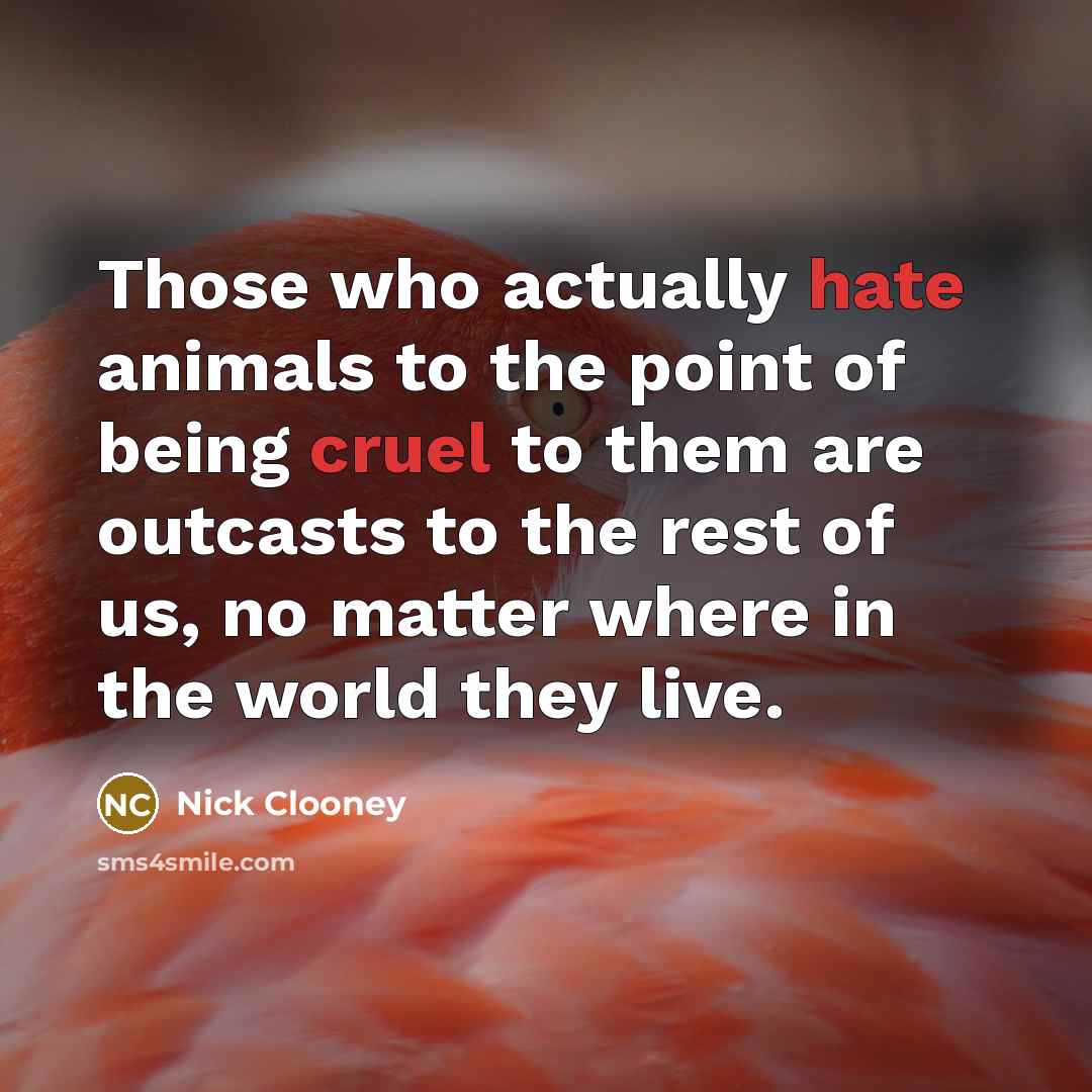 “Those who actually hate animals to the point of being cruel to them are outcasts to the rest of us, no matter where in the world they live.” quote by Nick Clooney