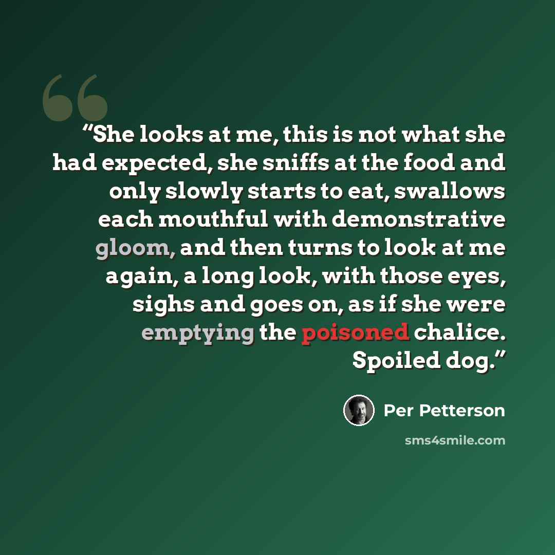“She looks at me, this is not what she had expected, she sniffs at the food and only slowly starts to eat, swallows each mouthful with demonstrative gloom, and then turns to look at me again, a long look, with those eyes, sighs and goes on, as if she were emptying the poisoned chalice. Spoiled dog.” quote by Per Petterson