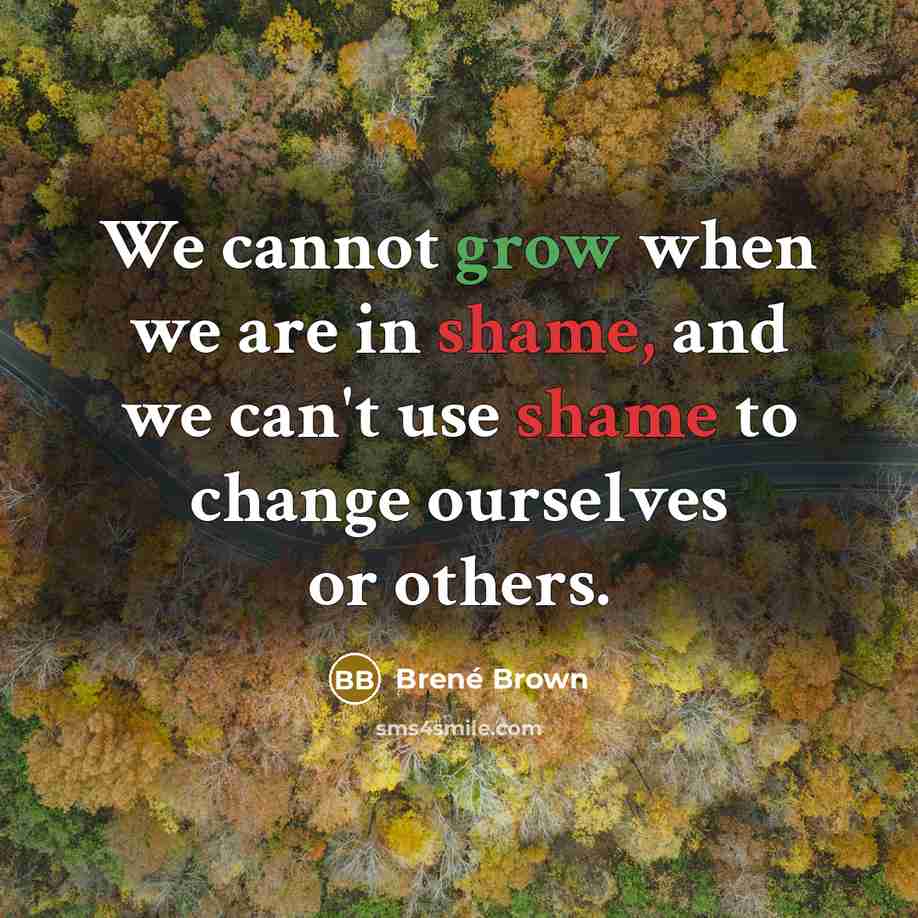 “We cannot grow when we are in shame, and we can't use shame to change ourselves or others.” quote by Brené Brown